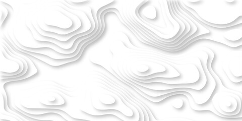 Fototapeta premium Abstract Luxury diamond creative topography map background vector natural shadow papercut web topography map spiral line. white light dynamic smooth cover origami papercut texture background. 
