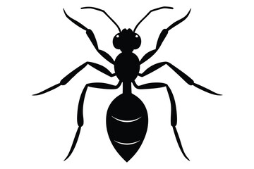 ant silhouette vector icon design