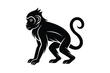 monkey silhouette vector icon design