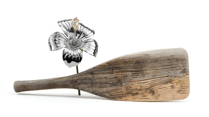Chrome hibiscus with wooden oar isolated on white background for floral decorative rural water design illustration
