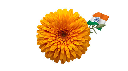 Chrome marigold with rural temple flag isolated on white background for floral decorative cultural design illustration
