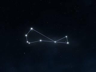 Piscis austrinus constellation in the starry night sky. Bright stars connected by lines. Astrological signs.