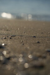 Seashells and pebbles on sandy beach – natural marine background with shells, stones and sand texture, summer seaside concept for travel, vacation, relaxation, nature and coastal design