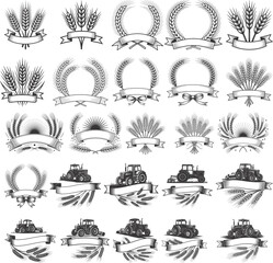 Wheat SVG, Grain, Silhouette, Cricut