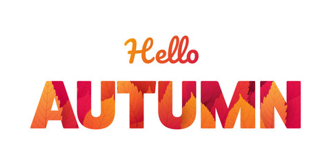 Hello Autumn text design with colorful autumn leaves, patterned letters. Seasonal vector typography, perfect for autumn greetings, posters, invitations, and decorative artwork.