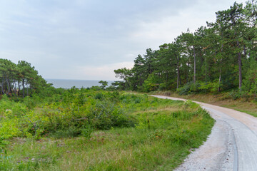 Die Insel Vlieland in der Nordsee