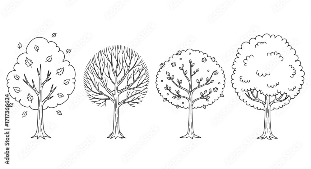 Poster four different trees depicting the seasons of autumn winter spring and summer in a line drawing styl