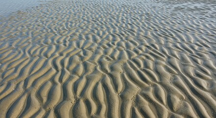 Obraz premium Patterns in wet sand