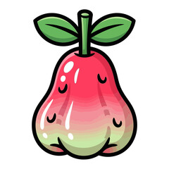 Cartoon style wax apple fruit with green leaves isolated on white background.