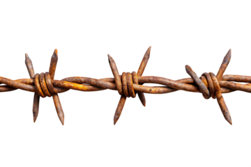 Close-up of Rusty Barbed Wire with Sharp Spikes on Background metal isolated on a transparent background