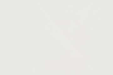 White Crumpled Tissue Paper Textured Overlay