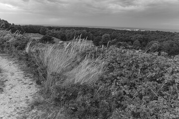 Sp&auml;tsommer auf Vlieland