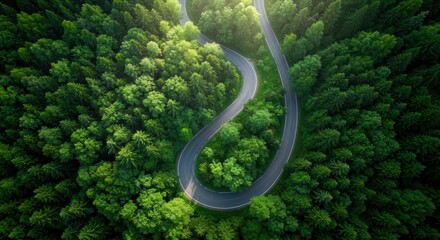 Aerial view of winding road through green forest