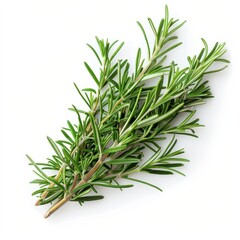 Fototapeta premium Fresh rosemary sprigs arranged beautifully, this aromatic herb is perfect for flavoring and adds a vibrant touch to cooking