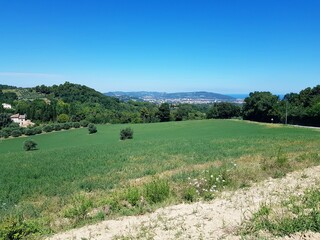 Rural landscape with green field and blue sky, Tuscany, Italy
