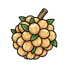 Bunch of longan fruit with leaves on a white background illustration.