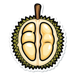 Cut durian fruit illustration showing segments and spiky outer shell on white.