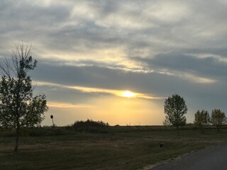sunset in the field on the farm