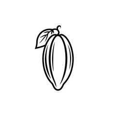 Simple outline drawing of a cocoa pod with a leaf