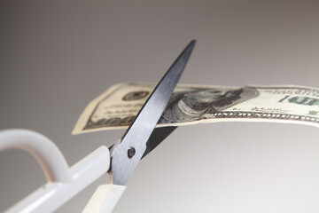 Scissors cutting a dollar bill on a gray background, business concept