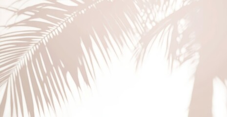 Shadow of palm fronds cast on a light-colored wall