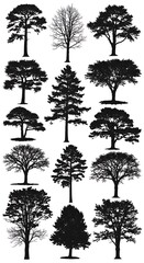 Fototapeta premium Diverse collection of tree silhouettes displayed against a plain white background.