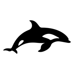 Silhouette of a killer whale swimming gracefully in the ocean with its tail fin visible and dorsal fin up