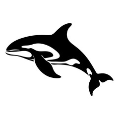 Silhouette of a killer whale with distinctive black and white markings swimming gracefully in the ocean water