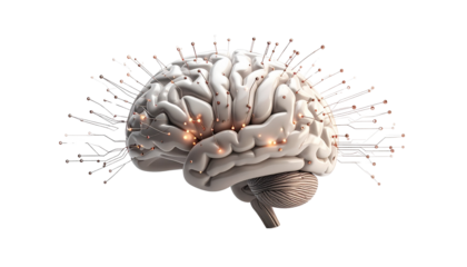 Human brain merging with AI technology, symbolizing innovation, artificial intelligence, and cognitive power isolated on solid white background Png