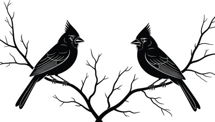 Pair of male cardinals perched on a tree branch, black and white vector silhouette illustration for wildlife, nature, and Christmas bird concepts.