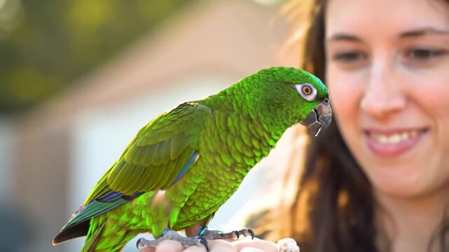 Woman admires verdant parrot perched on hand