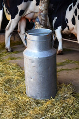 Obraz premium Pot à lait ancien avec vaches en attière-plan