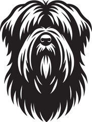 Briard Dog in Black and White – Elegant French Herding Breed Photography