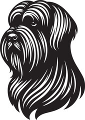 Briard Dog in Black and White – Elegant French Herding Breed Photography