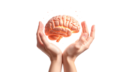 Human hands gently holding a glowing illuminated brain symbolizing knowledge and intelligence isolated on solid white background Png