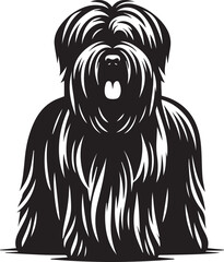 Briard Dog in Black and White – Elegant French Herding Breed Photography