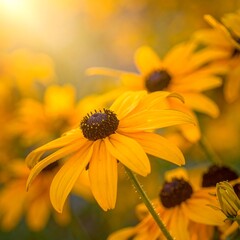 Beautiful Yellow Flowers in Sunlight.