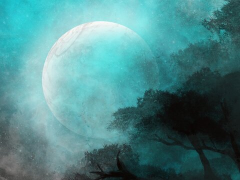 Crescent moon in the sky and shadows of treetops, dark branches. Digitally drawn background illustration on tablet, used for background, not Ai.