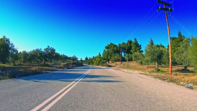 Greece countryside POV drive green trees olive orchard gopro car travel sunny
