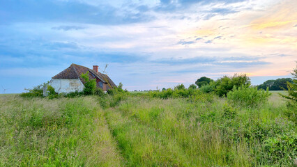 Very old dilapidated Danish farm house abandoned many years ago in the green countryside on a summer evening