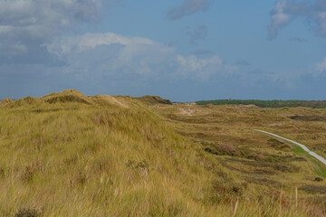 Fototapeta premium Dünen und Strand auf Vlieland