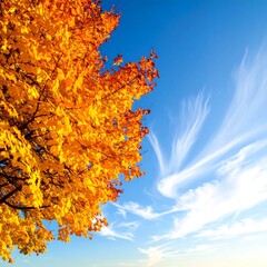 Autumn Leaves Against a Blue Sky.