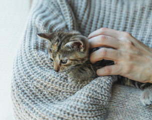 Young woman in a sweater with a small kitten in her arms