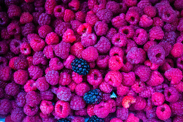 Raspberries. Raspberry background. Berry background. Healthy and delicious food.