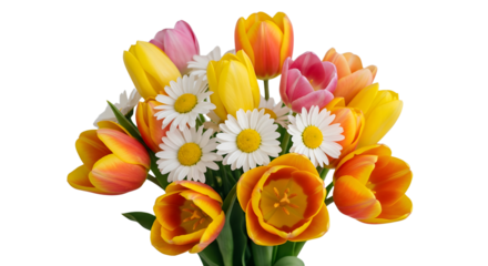 Vibrant Bouquet of Colorful Spring Tulips and White Daisies isolated PNG with Transparent Background