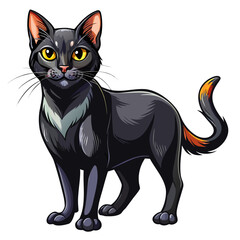 black cat real  ,full body ,white background