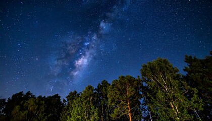 Night Sky Over Trees.