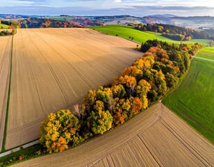 Autumnal Field and Trees.