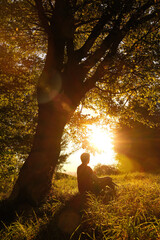 Man sitting on a meadow under a tree and enjoying nature with the low sun shining bright and warm...