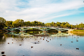 A duck pond and a large metal bridge of the Tsaritsyno Palace Ensemble on a clear sunny day. The sights of Moscow are World tourism.